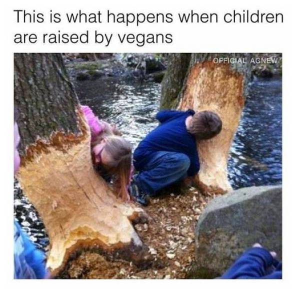 Funny Picdump
