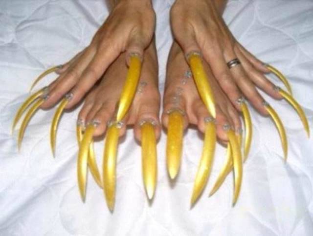 Daily Picdump