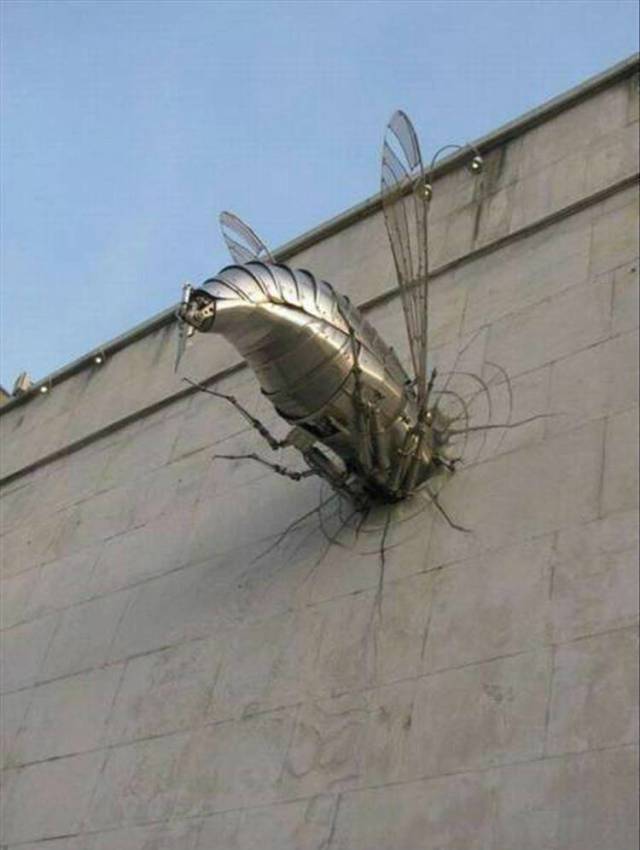 Daily Picdump