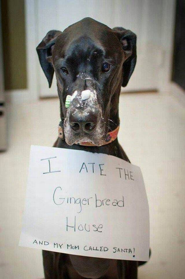 Daily Picdump