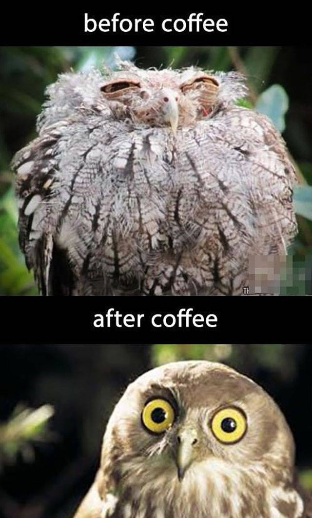 Before And After Combinations Can Be Pretty Mind-Blowing