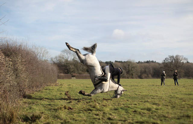 Morning Picdump