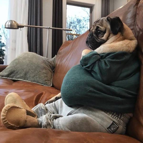 Morning Picdump
