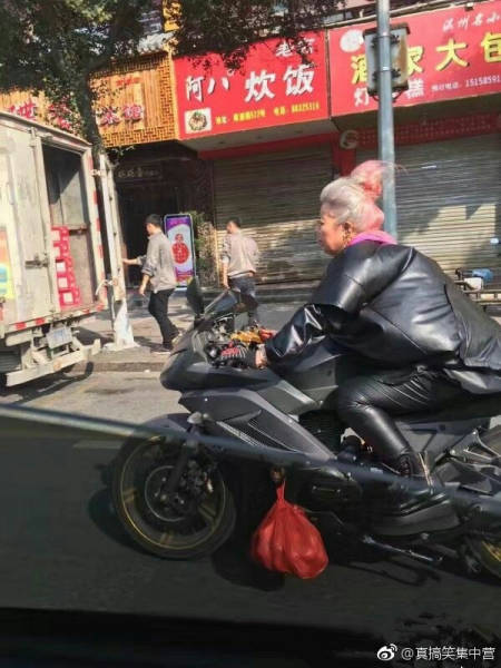 Morning Picdump