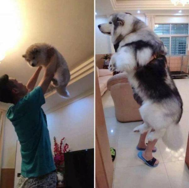 Daily Picdump [WEEKEND EDITION]