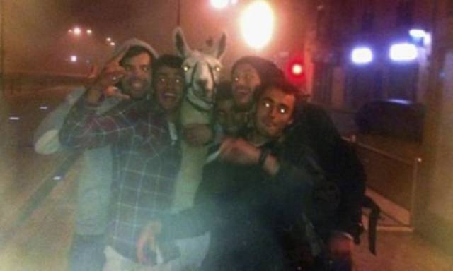 We All Know What Happens When You Get Drunk