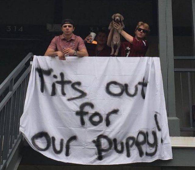 Daily Picdump