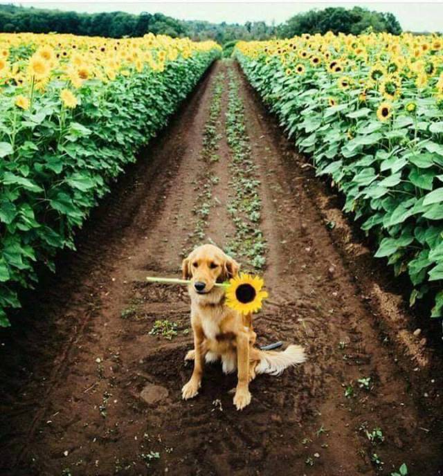 Daily Picdump
