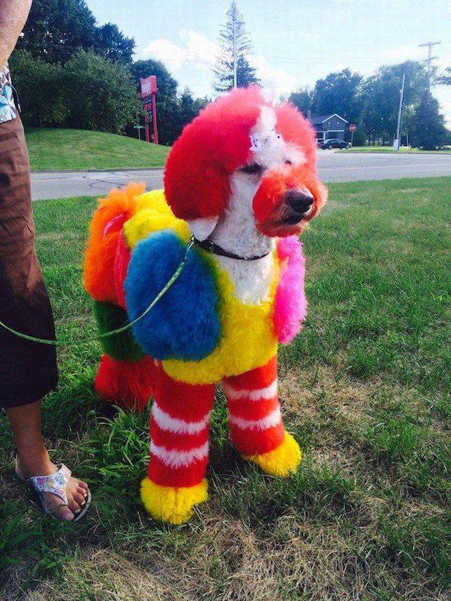 Daily Picdump