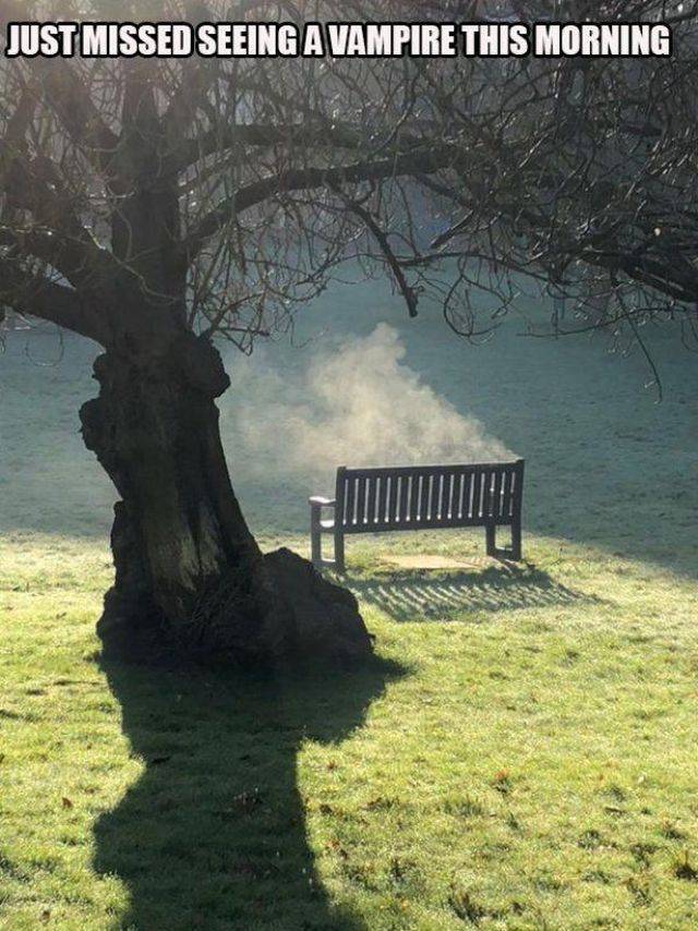 Daily Picdump