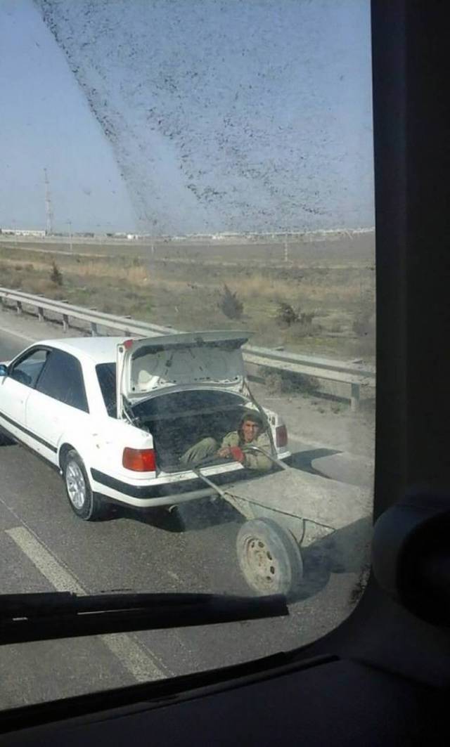 Daily Picdump