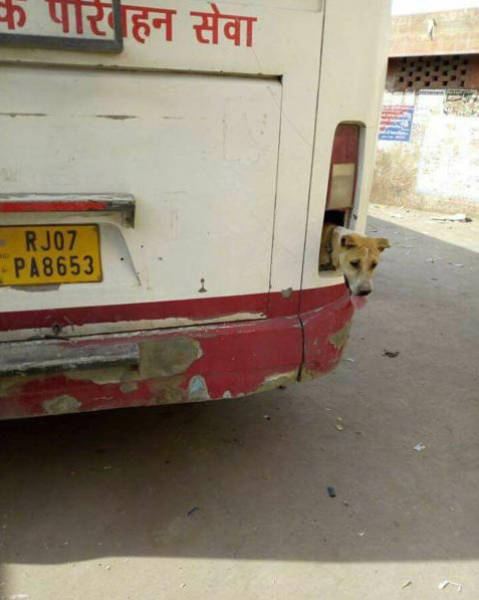 Morning Picdump
