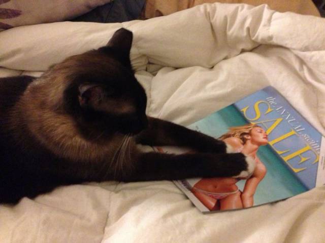 Daily Picdump