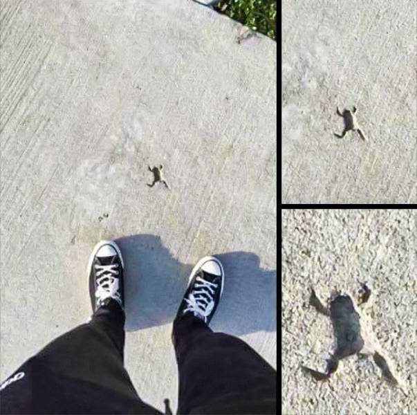 Photographers Always Manage To Capture Some Really Curious Moments