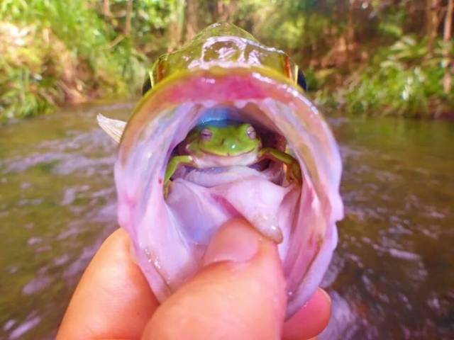 Photographers Always Manage To Capture Some Really Curious Moments