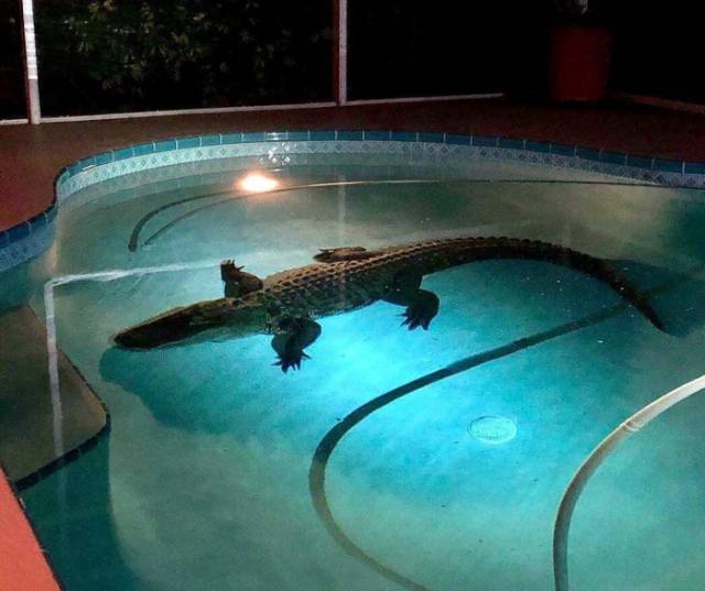 Morning Picdump