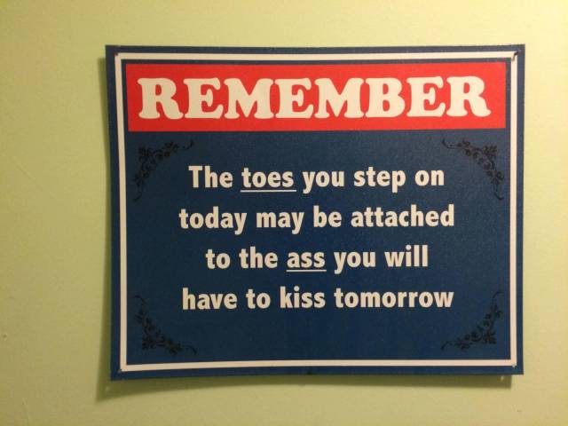 Daily Picdump