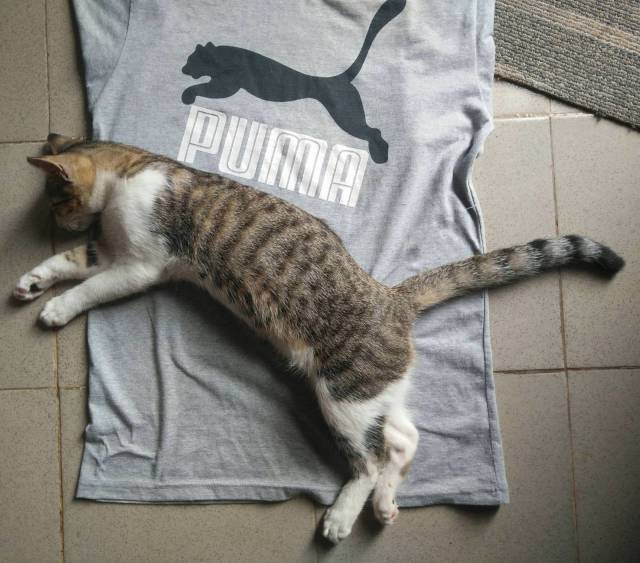 Daily Picdump