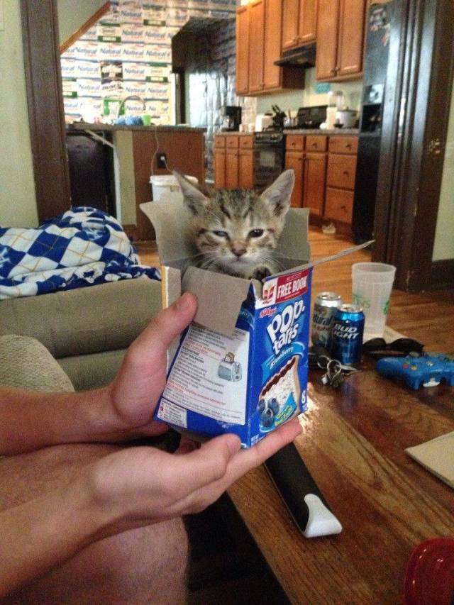 Daily Picdump