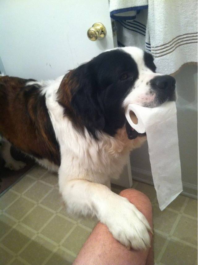 Daily Picdump