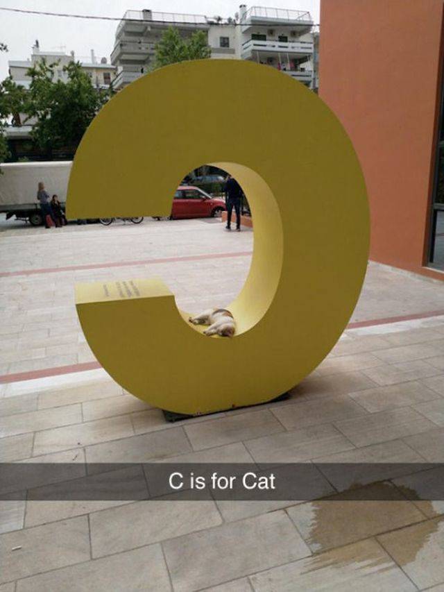 Daily Picdump