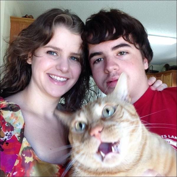 Daily Picdump