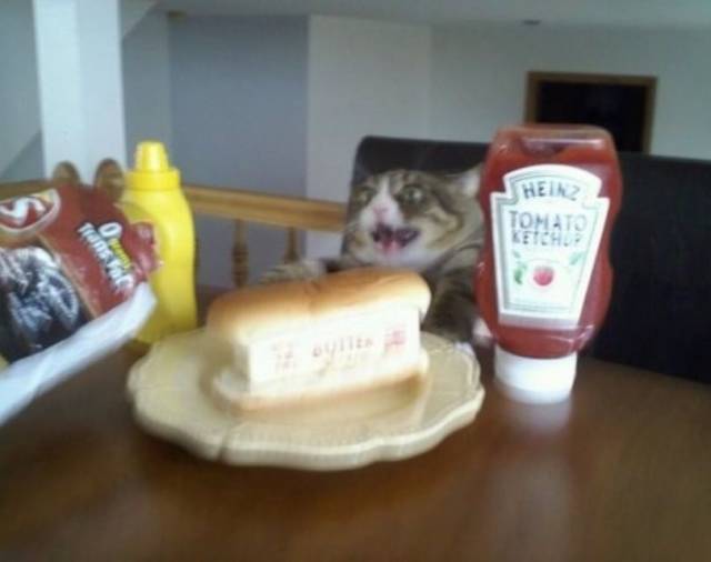 Daily Picdump