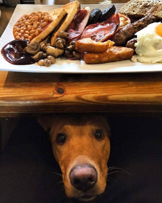 Daily Picdump