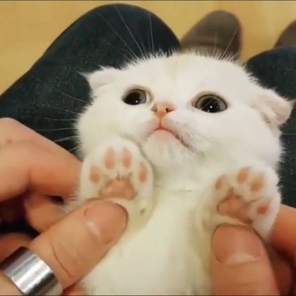 Morning Picdump