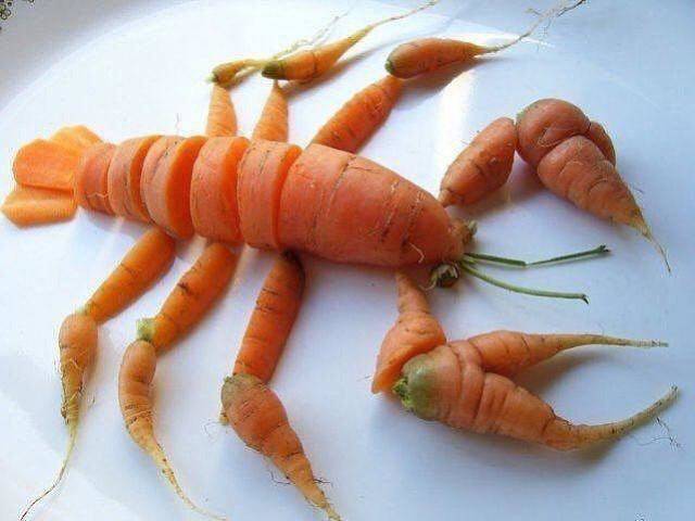 Morning Picdump