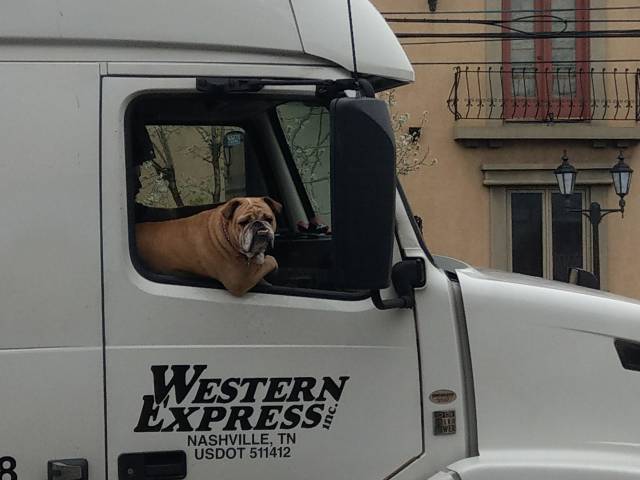 Morning Picdump