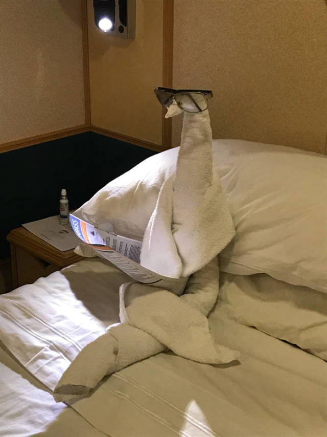 Morning Picdump