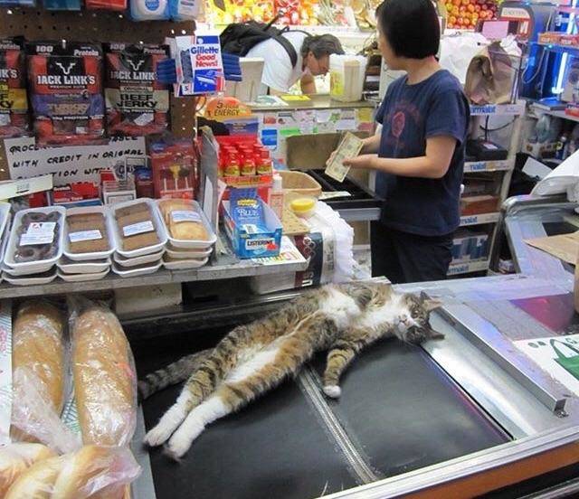 Morning Picdump