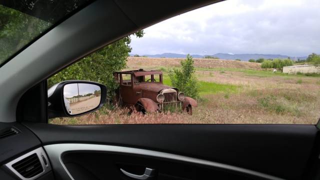 Morning Picdump