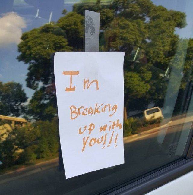 Daily Picdump