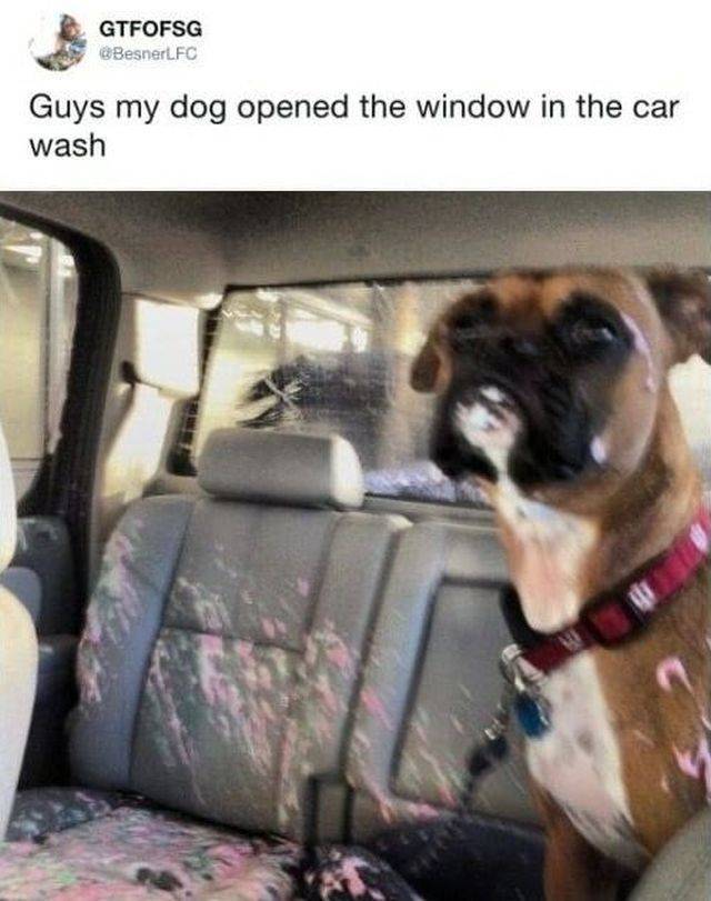 Daily Picdump