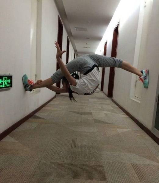 Daily Picdump