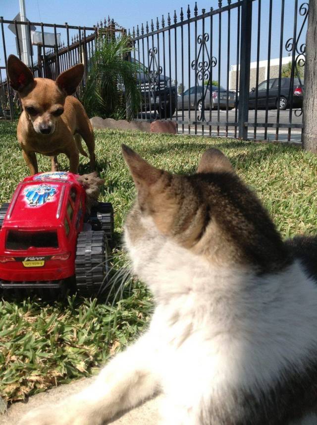 Daily Picdump