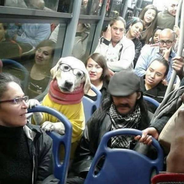 Daily Picdump
