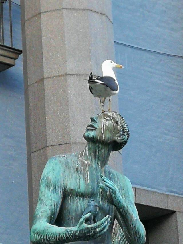 Daily Picdump