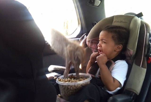 Sh*t Is All Around Us – It Happens