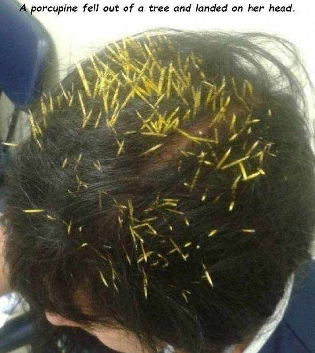 Sh*t Is All Around Us – It Happens