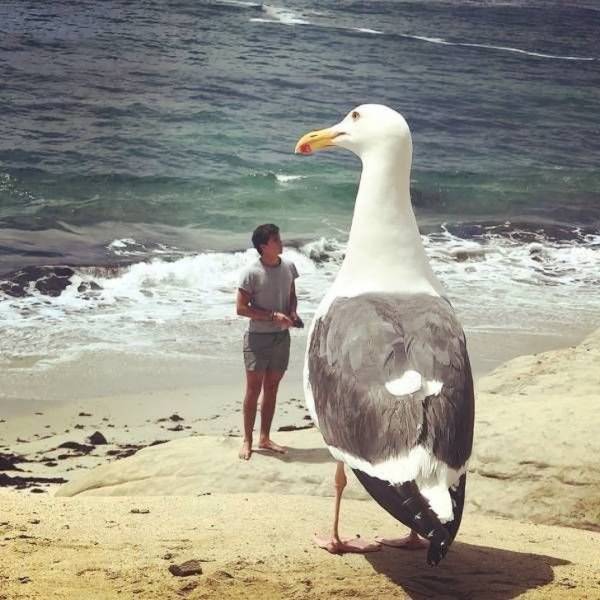 These Photos Don’t Contain What You See On Them
