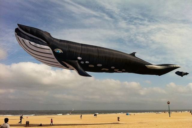 These Photos Don’t Contain What You See On Them