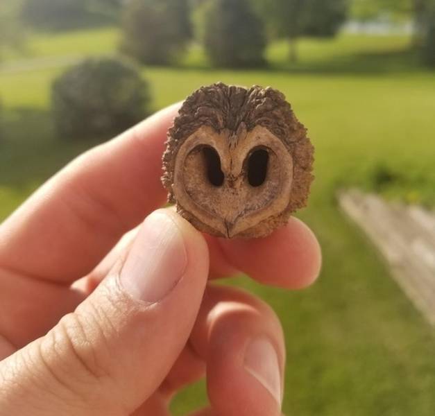 These Photos Don’t Contain What You See On Them