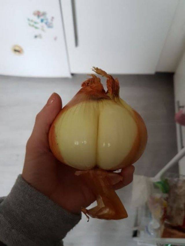 Dirty Mind, Come Here!