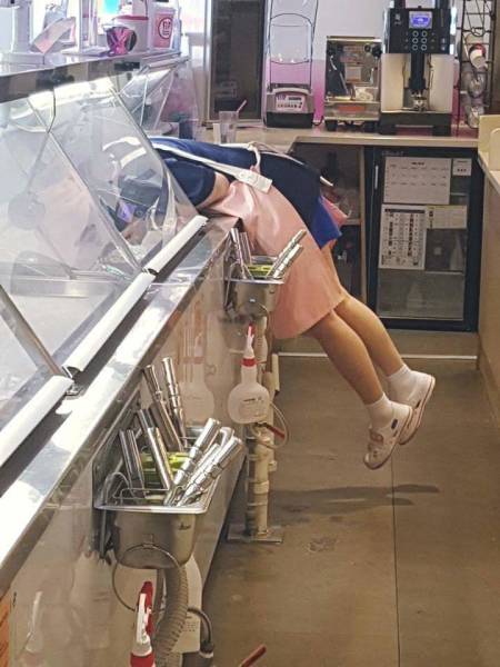 Morning Picdump