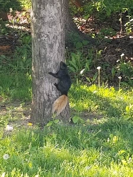 Morning Picdump