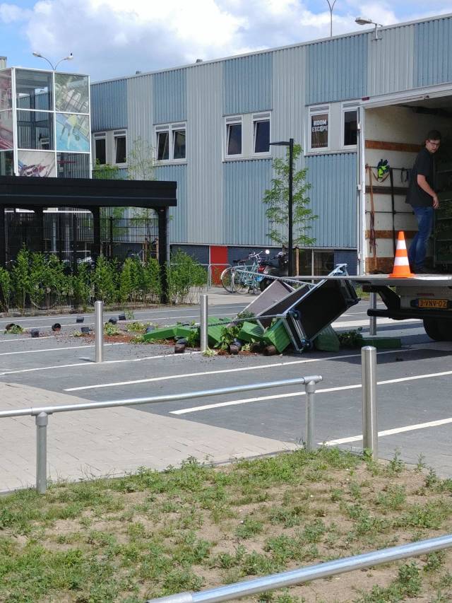 Morning Picdump