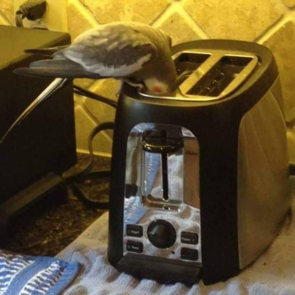 Daily Picdump